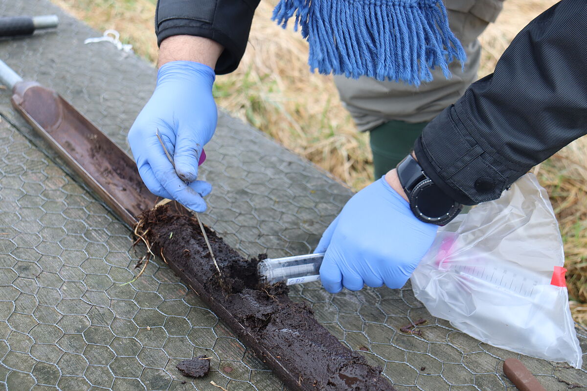 Soil core sampling